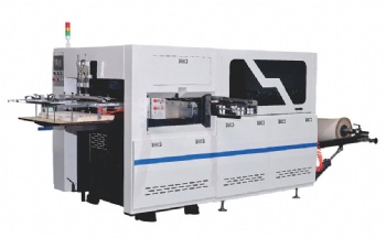 Reel paper die cutter